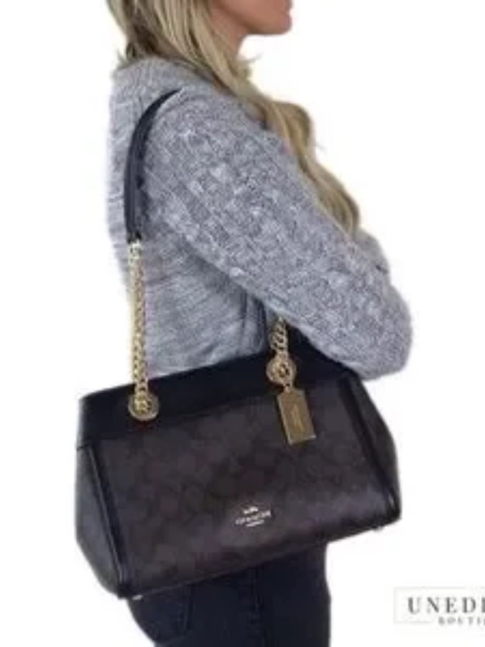 NWT COACH BROOKE CHAIN CARRYALL - Picture 11 of 12